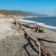 The Endless Beach at Andrew Molera State Park