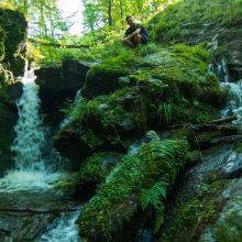 Baybachklamm - Ravine