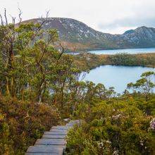 Cradle Mountain - 5 Hikes and Walks + Wildlife Guide - New Shuttle Bus Ticket