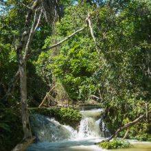 Valle Ancon - Vinales