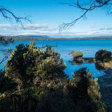 Lake St Clair Guide - Part of Cradle Mountain - 4 Hikes and Walks