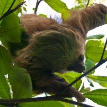 Cahuita National Park