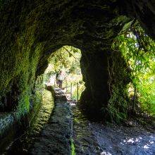 Levada do Caldeirao Verde and Inferno - Best Levada and Waterfall Hike in Madeira