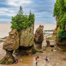 Hopewell Rocks - Tide Times and 7 Tips for the Highest Tides in the World