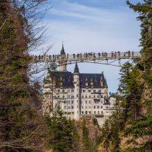 Neuschwanstein Castle Season Guide and 3 Best Viewpoints