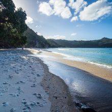New Chums Beach Walk - A Hidden Gem in Coromandel