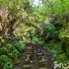 Lagoinha Trail