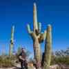 Saguaro