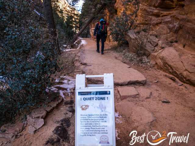 The canyon which is home to the endangered Mexican Owl.