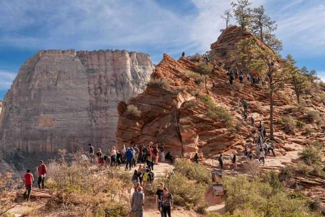 Plenty of visitors at Scout Lookout and the permit part.