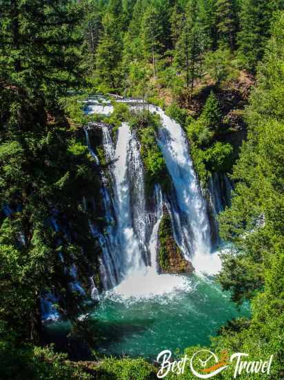 are dogs allowed at burney falls