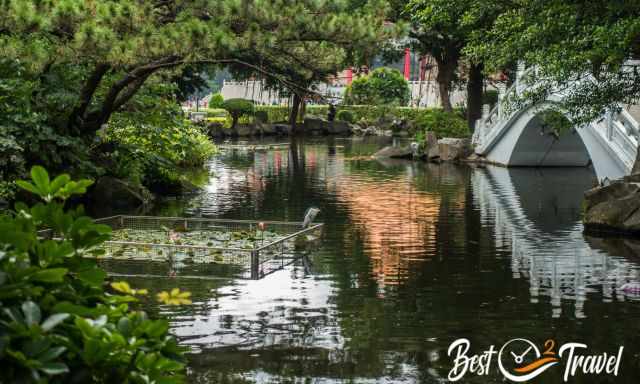 Ponds in the park at the memorial hall