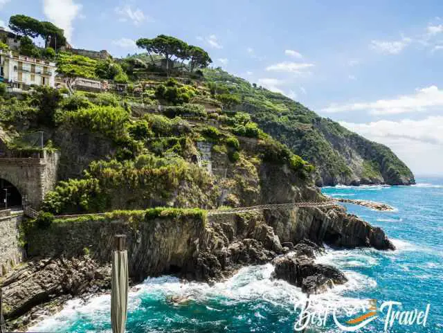 The olive tree groves and vineyards in Cinque Terre.