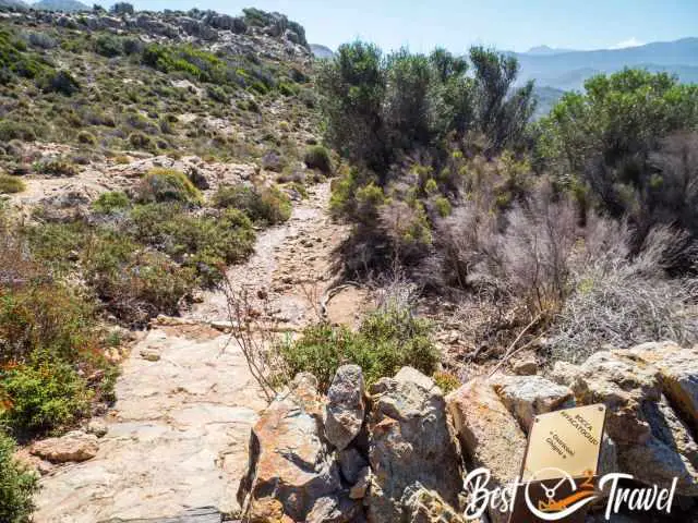 The narrow gravel path through scrub.