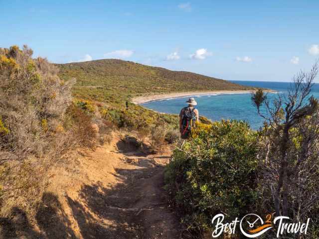 A hiker on the narrow path through the maquis.