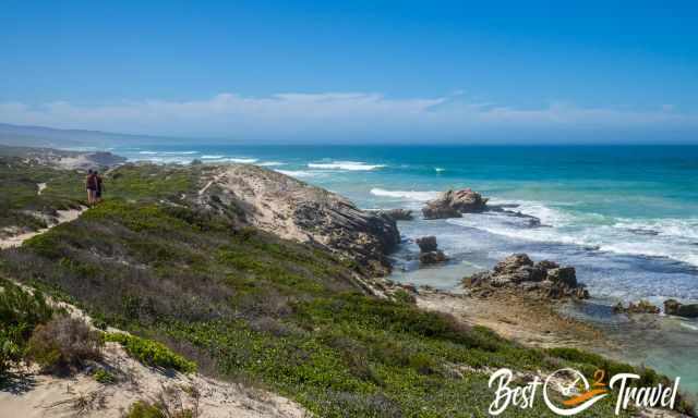 Two hikers on the coastal track with view to a bay