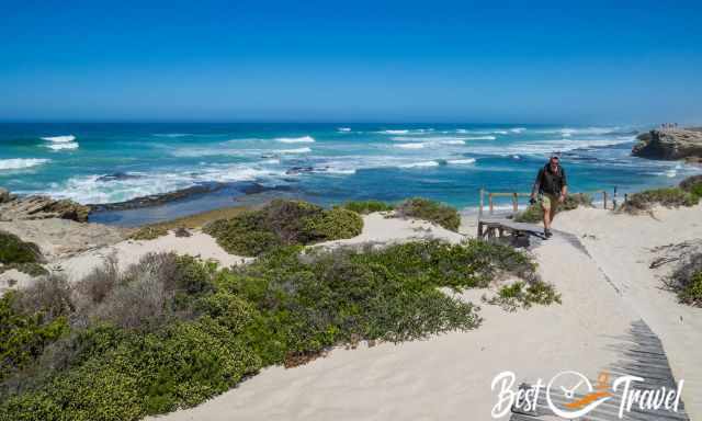 A man walking above a boardwalk above sand and vegetation