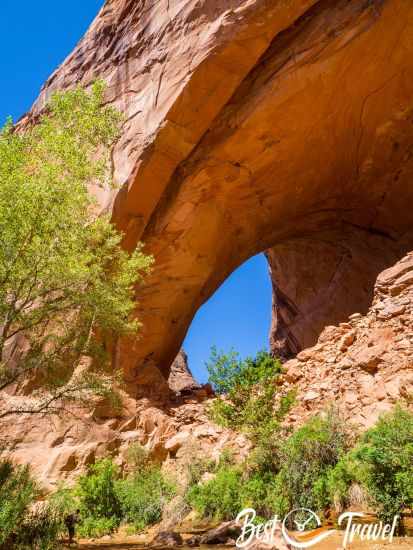 Jakob Hamlin Arch from from the creek