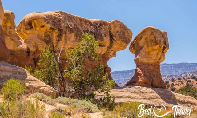 The Devils Garden Rock Formations