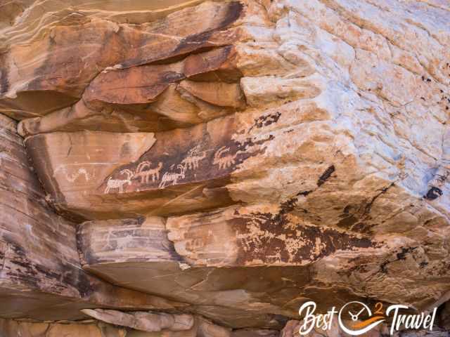 Petroglyphs of Big Horn Sheep