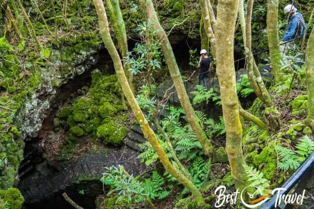 The guided group accesses the cave - lush vegetation before the entrance