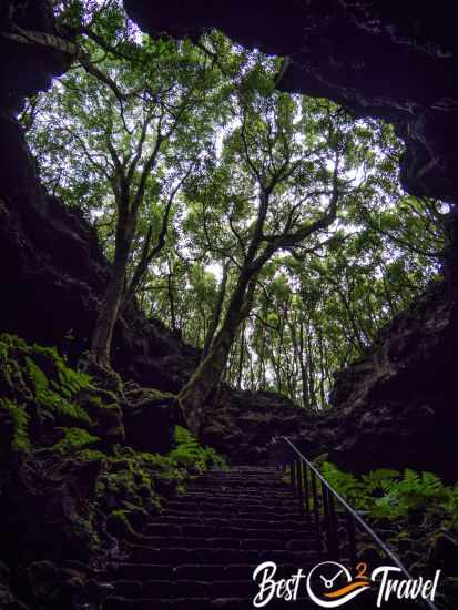 The view out of the cave from the end of the staircase