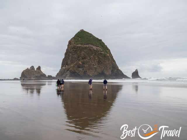 Visitors walking to Haystack Rock