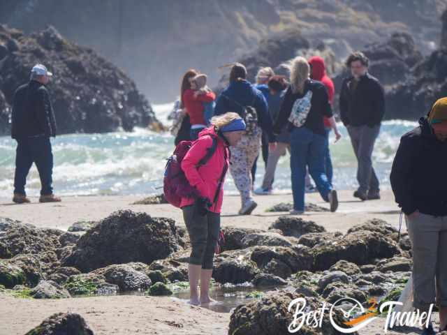 Lots of visitors in and around the tidepools.