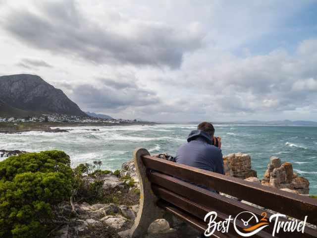 A man sitting on a bench and taking pictures of whales.