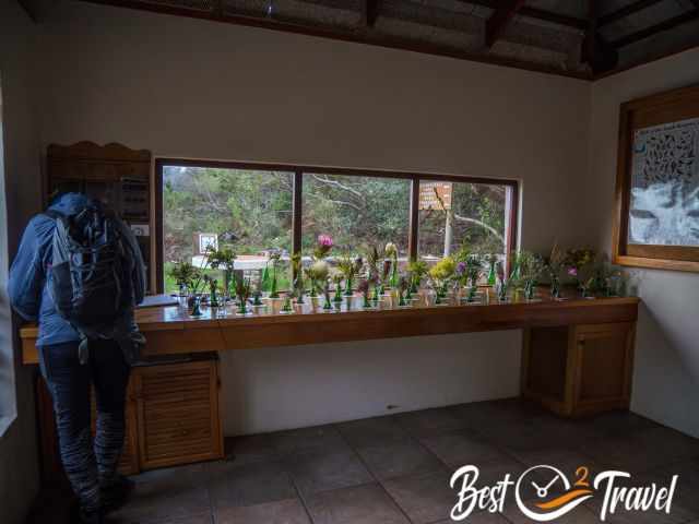 Information Centre in the Fernkloof Nature Reserve.