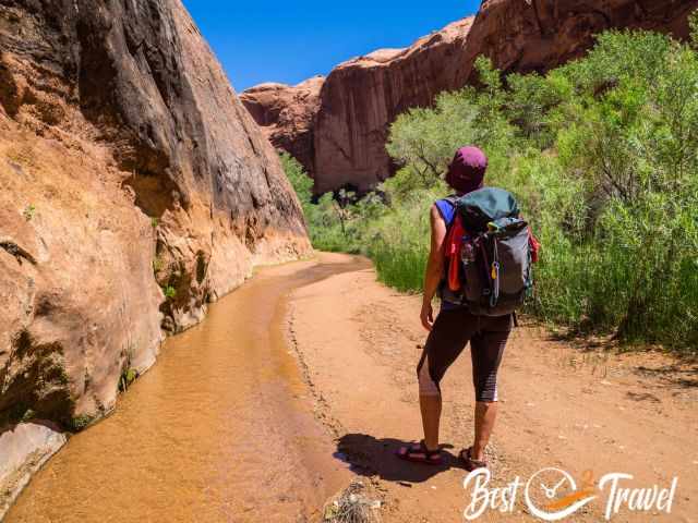 Me in the Coyote Gulch at a creek.