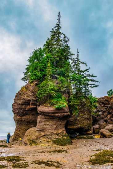 A huge single flowerpot rock at low tide