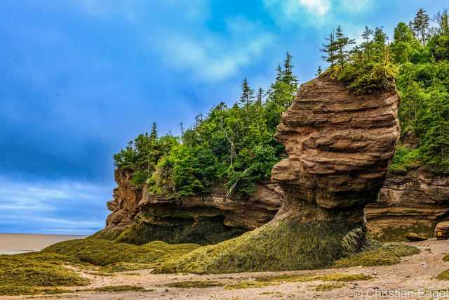 One of the thinner sea stacks on the ocean floor at low tide.