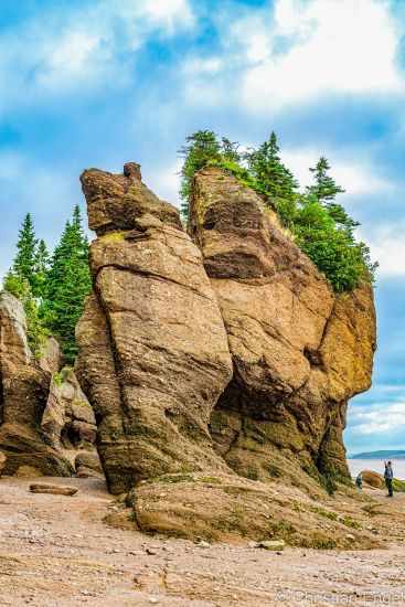 Visitors in front of a huge flowerpot rock at low tide