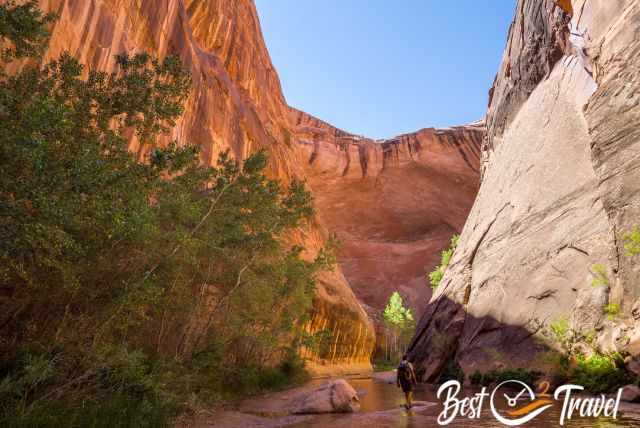 The narrower canyon at Jakob Hamlin Arch