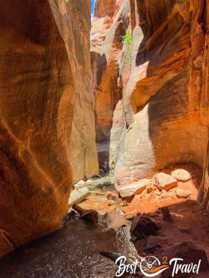 A woman wading through the creek in the Kanarra creek slot