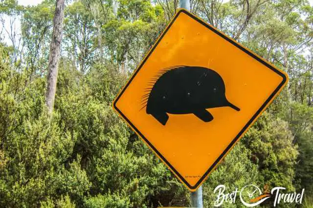 An echidna traffic sign 