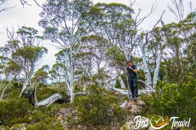 A hiker with a zoom camera in the Lake St. Clair National Park.