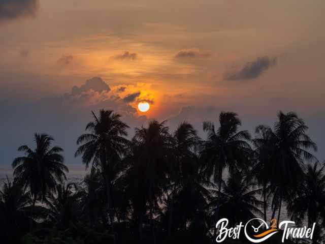 The sunset watched through palm trees from higher elevations.