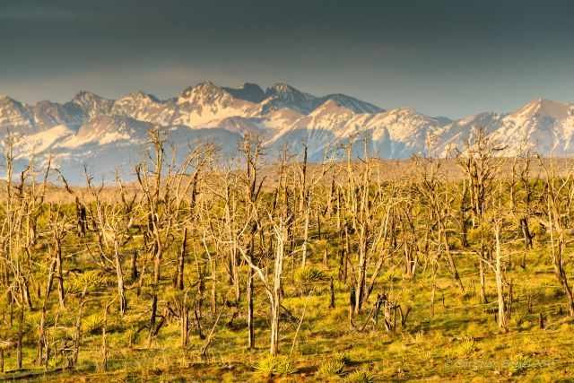 The mountain peaks are still covered in snow.