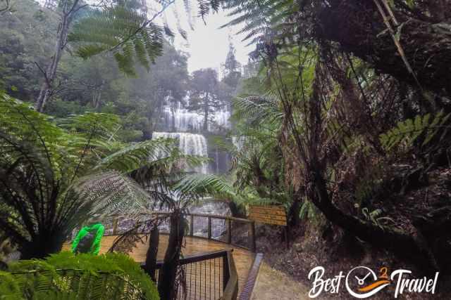 The wooden boardwalk and viewpoint to Russel Falls