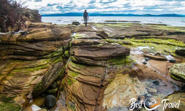 A visitor is walking above the sea bed at low tide.