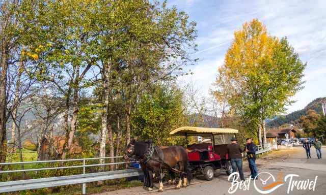 The horse carriage at the parking