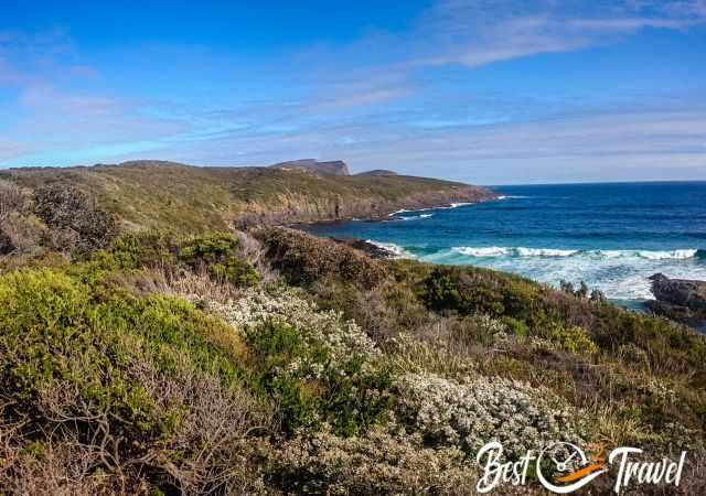 The view to Mount Brown and the lush vegetation