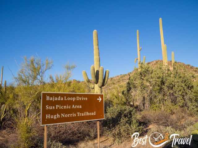 Bajada Loop Drive direction sign with saguaros in the back.