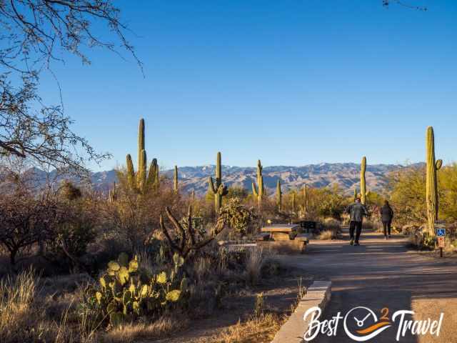 Visitors on the Mica View Trail