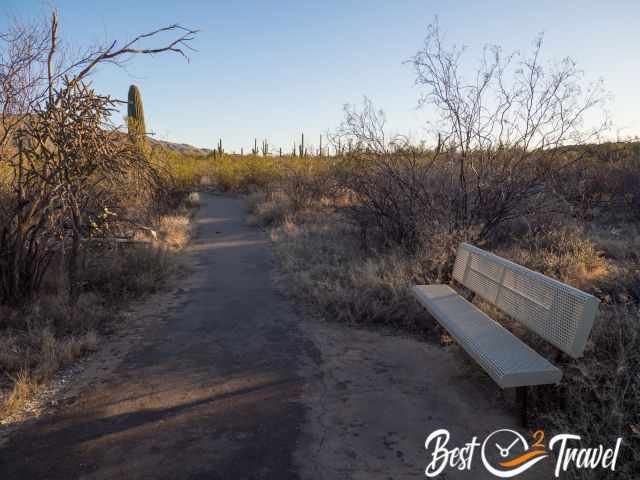 A bench along an even hiking path.