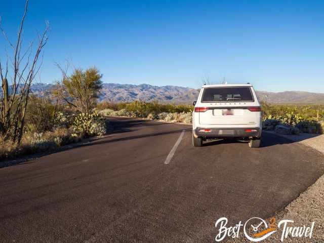 The paved loop road in the East Saguaro Section.