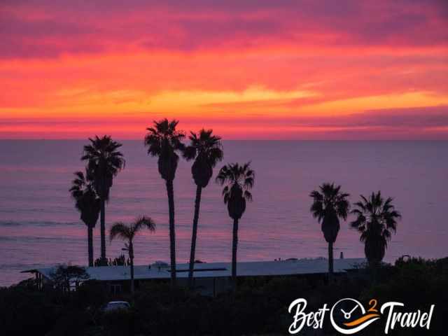 The sunset in multiple colours with palm trees in front of.