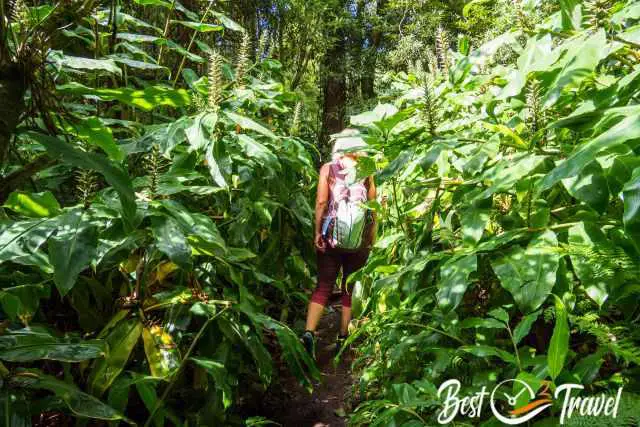 A woman on the narrow hiking trail.